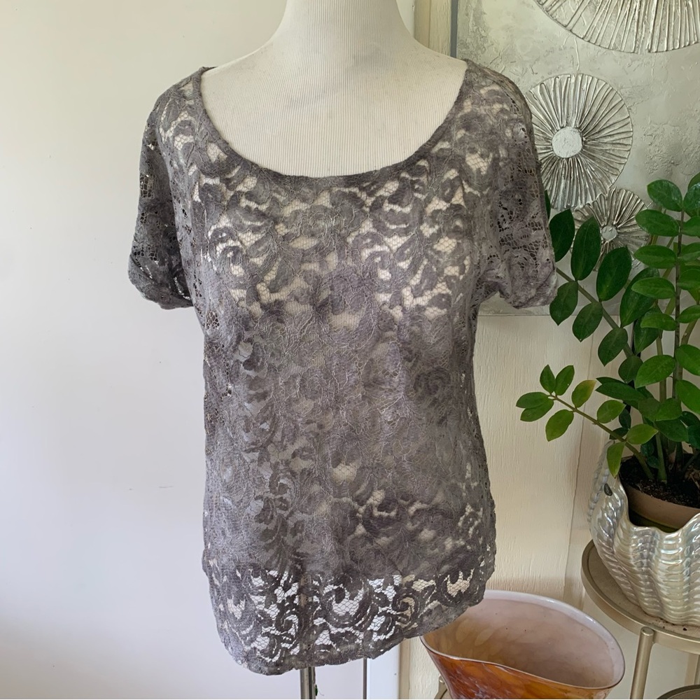 NWT Rachel Zoe cotton blend lace top size L